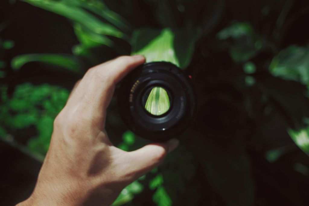 Reflect On Balancing Effort In Bot Development Focus 4 1024x683