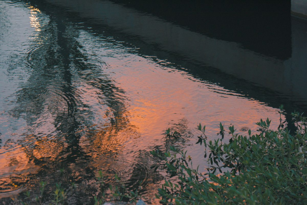 Reflect: What Was Your Biggest Trading Win? - 2026-05-23 nature reflection