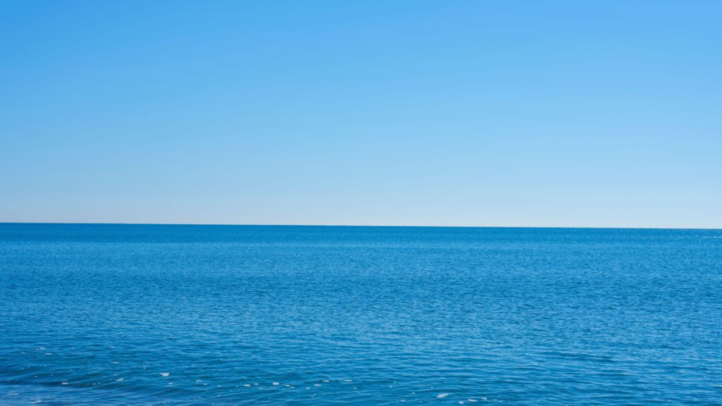 Clear Sailing After the Storm: Dev-Traders' Blueprint for Resilience & Profit ocean horizon