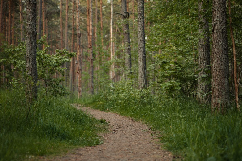 Layoffs, Inflation, Market Dips: Code Your Financial Escape! path