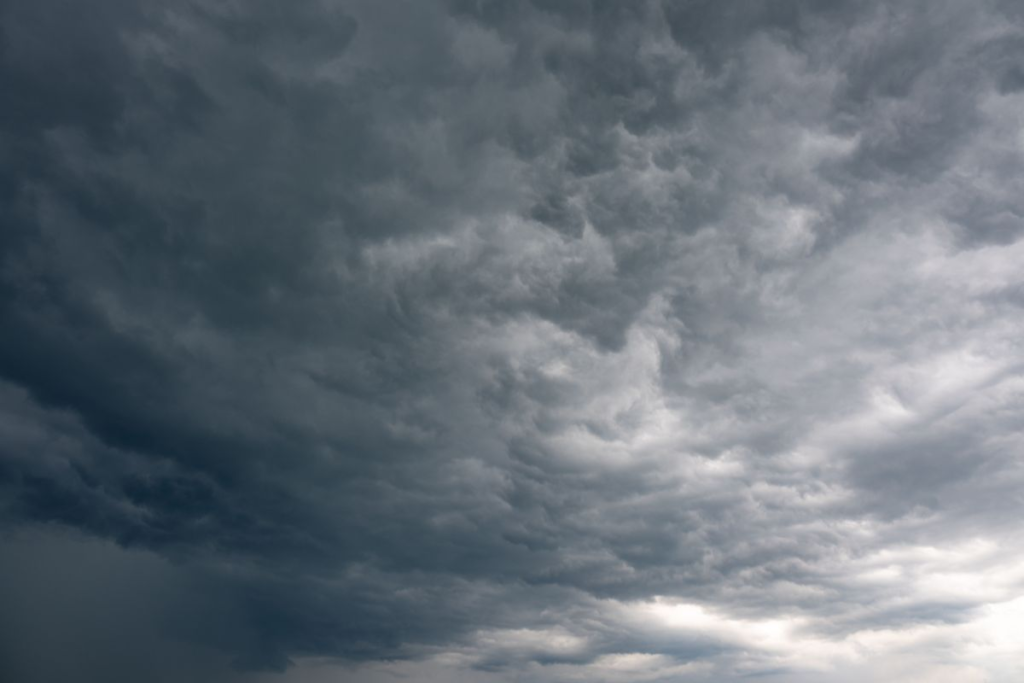Market Wild? Your Profit Management Playbook for Unpredictable Times. storm