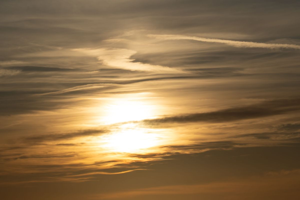 Debug One Line Of Bot Code This Morning sunrise