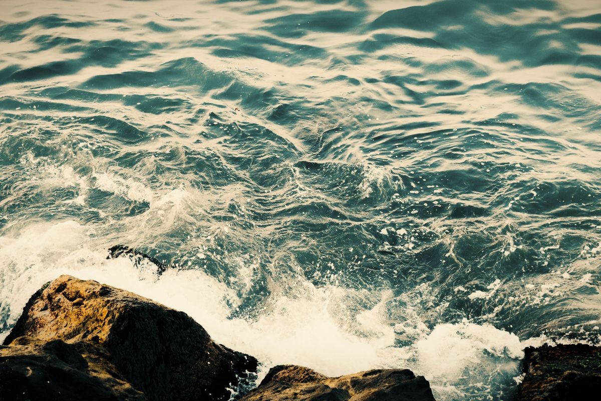 Algo Edge: Master Profit Protection & Ride Market Swings Like a Pro waves
